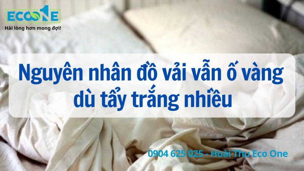 Nguyên nhân khiến đồ vải vẫn ố vàng dù tẩy trắng nhiều